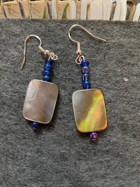 Small Abalone earrings